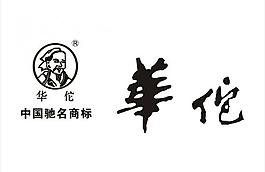 華佗藝術字 華佗標志圖片