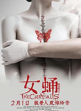 女蛹圖片