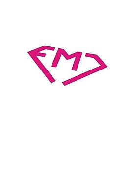 fml標志圖片