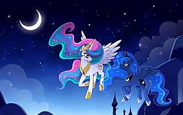 小馬駒追求記圖片