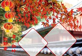 香山紅葉迎新春圖片