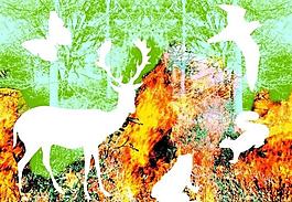 地球環(huán)境圖片
