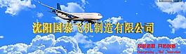 翱翔蓝天图片