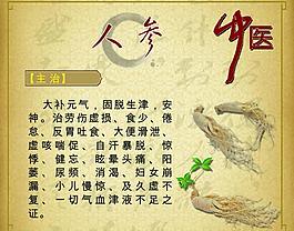 中藥 人參圖片