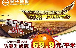 揚(yáng)子地板圖片