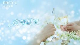 溫馨背景圖片