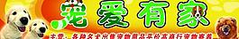 寵愛有家圖片
