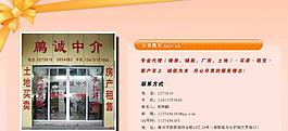 淺色系網(wǎng)站首頁(yè)模板圖片