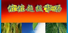 超市圖片