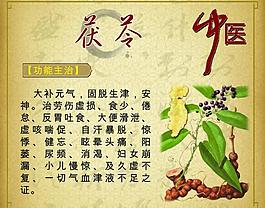 中藥 茯苓圖片