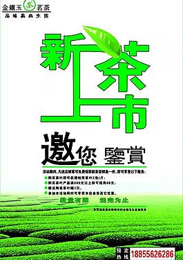 新茶上市海報圖片
