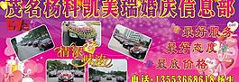 楊科凱美瑞婚慶車隊圖片