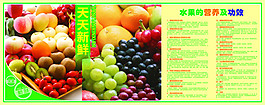 天天新鲜