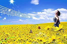 蓝天白云花海PSD分层素材