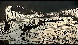 山水梯田視頻素材圖片