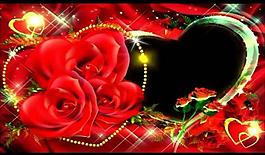 婚禮玫瑰視頻素材圖片