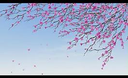 桃花背景視頻素材圖片