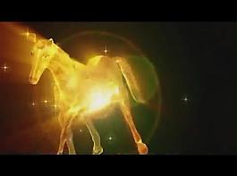 春节元素视频素材图片