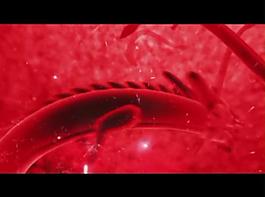 春节元素视频素材图片