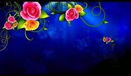 花紋生長婚禮背景視頻圖片