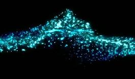 粒子星光光效背景視頻圖片