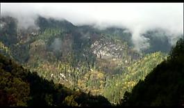 山峰云霧風景畫視頻圖片