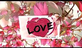 情人節七夕節視頻素材圖片