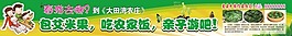 艾米果