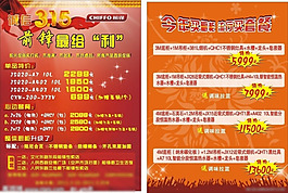 前锋 315图片