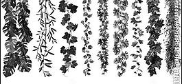 植物掛枝葉簇ps筆刷圖片
