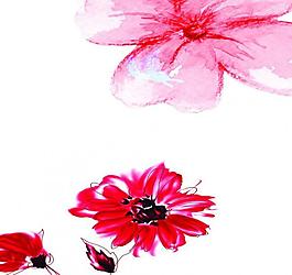 花卉圖片