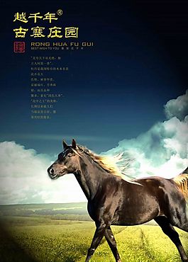 駿馬單頁設(shè)計素材