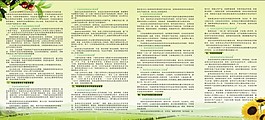 折頁
