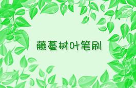 藤蔓树叶笔刷图片