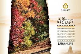 地產(chǎn)海報(bào)圖片
