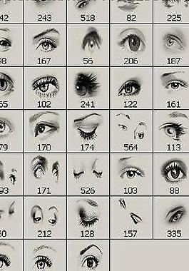 all eye圖片