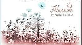 floriade by angeles圖片