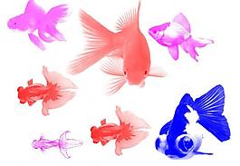 漂亮金魚(yú)筆刷圖片