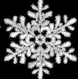 高清晰雪花笔刷（含png及ai文件）图片