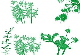綠色植物筆刷圖片