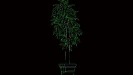 中式仿古裝飾 花草盆景圖片