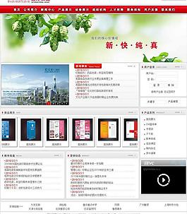 漂亮功能型企業(yè)網(wǎng)站圖片