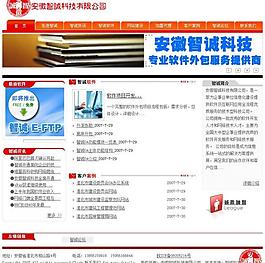 智誠科技有限公司網站圖片