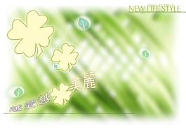 綠色背景
