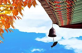 風(fēng)景PSD分層素材免費(fèi)下載