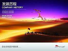 企業(yè)文化-發(fā)展歷程