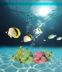 海底水紋