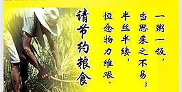 節(jié)約糧食圖片