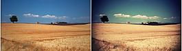 影樓ps調(diào)色動(dòng)作圖片