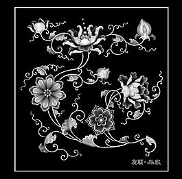 牡丹圖片